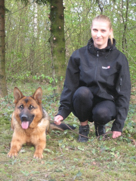 Publication : du Sol Invictus Auteur : Libert Aurélien