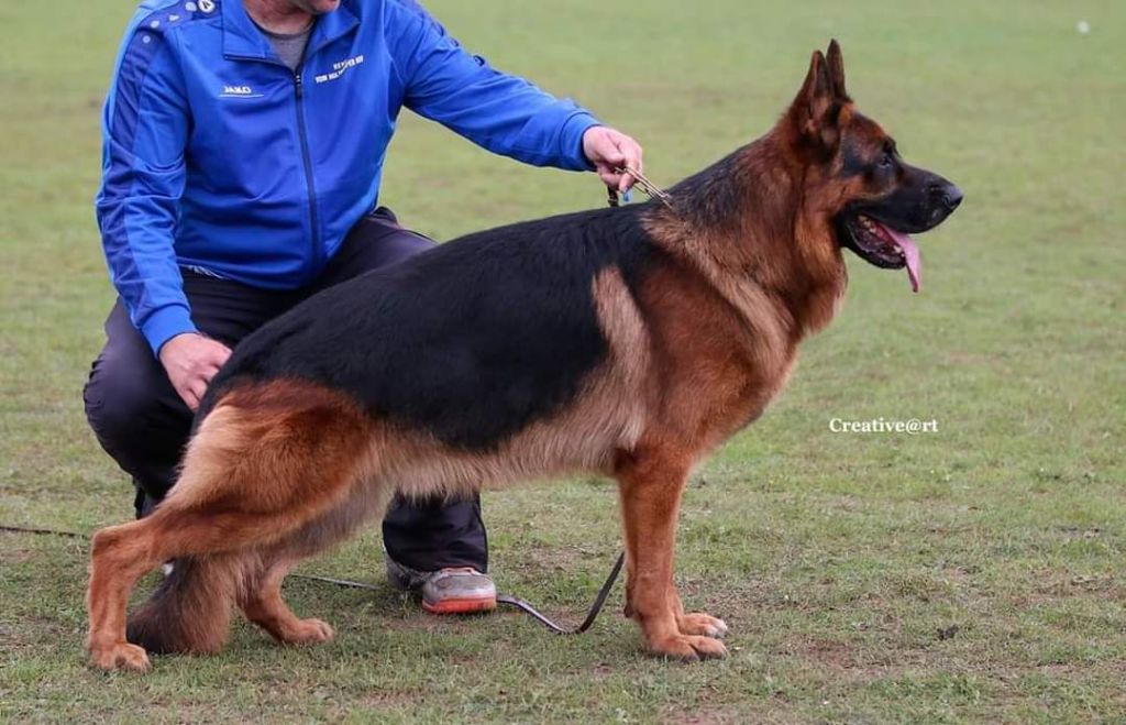 Publication : du Sol Invictus