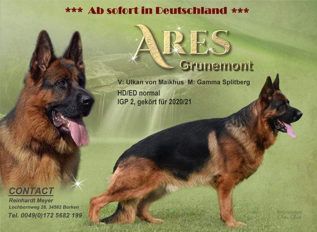 Publication : du Sol Invictus