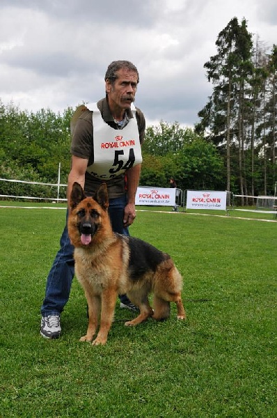 CH. Ceba D'il ha gwilun - 1er Très bon