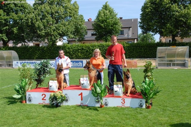 CH. Ceba D'il ha gwilun - 3ème très prometteur