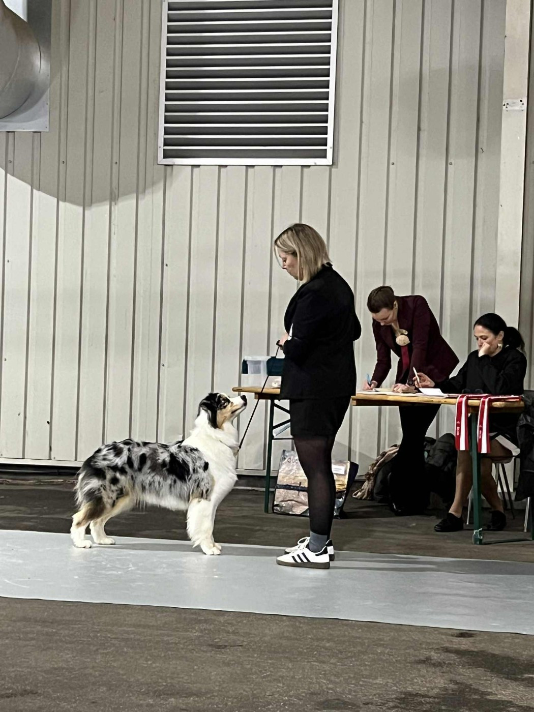 Valiant sweet heart des rêves d'opaline - EXCELLENT NC