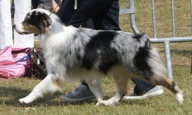 Balkane Of happy dream valley - 2ème TRES BON