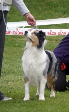 Balkane Of happy dream valley - 3ème place EXCELLENT