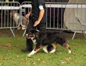 Fire under control my american black love des rêves d'opaline - 4ème TRES BON