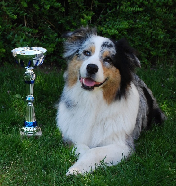 Balkane Of happy dream valley - 2ème EXCELLENT RCACS RCACIB