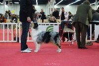 Balkane Of happy dream valley - 3ème EXCELLENT