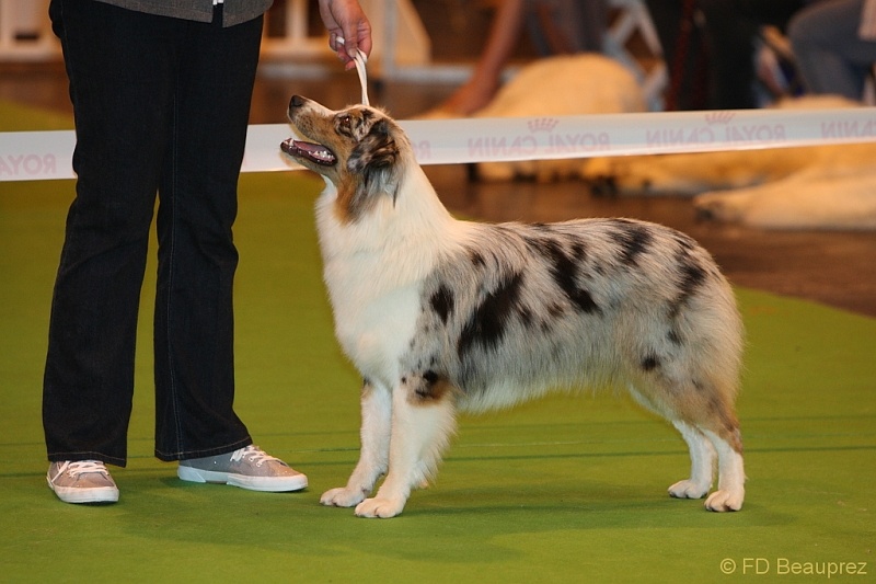 Divane blue beauty des rêves d'opaline - TRES BON