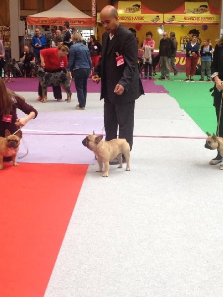 Publication : du chemin des Volcans Auteur :