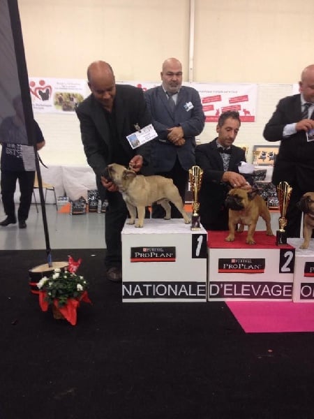 Publication : du chemin des Volcans Auteur :