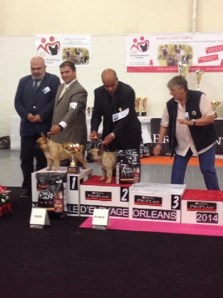 Publication : du chemin des Volcans Auteur :