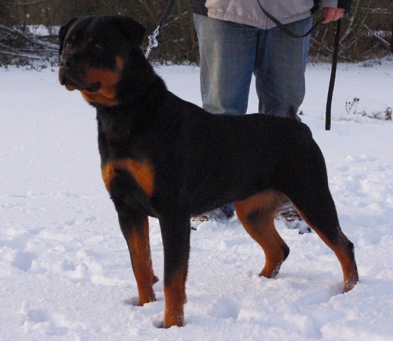 Publication : Dark Blacks Eyes Auteur : dorian