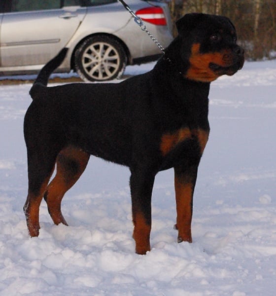 Publication : Dark Blacks Eyes Auteur : dorian