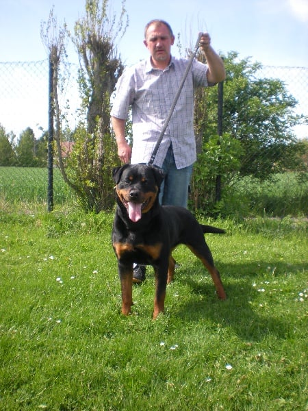 Publication : Dark Blacks Eyes Auteur : dorian