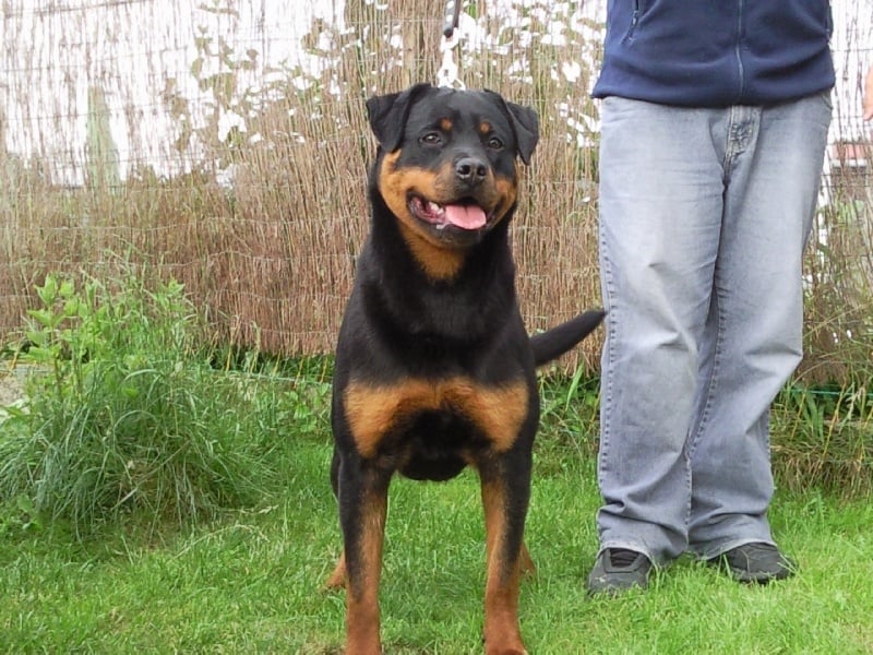 Publication : Dark Blacks Eyes Auteur : dorian