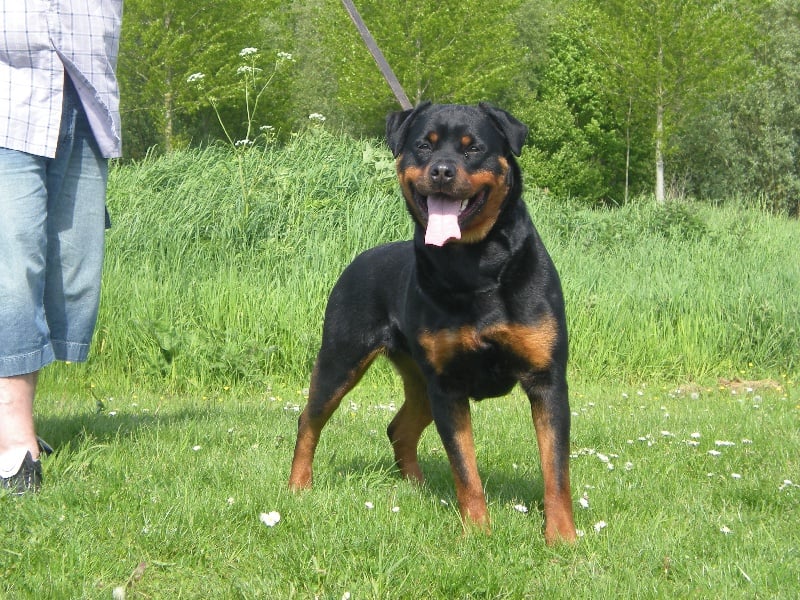 Publication : Dark Blacks Eyes Auteur : dorian