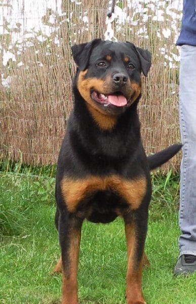 Publication : Dark Blacks Eyes Auteur : dorian