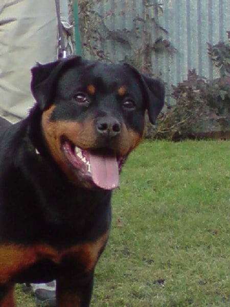 Publication : Dark Blacks Eyes Auteur : dorian