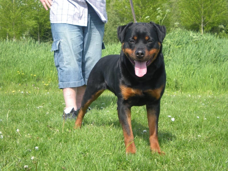 Publication : Dark Blacks Eyes Auteur : dorian