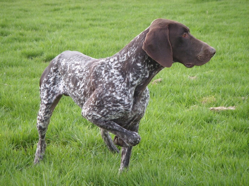 Publication : d'Elem Cathy