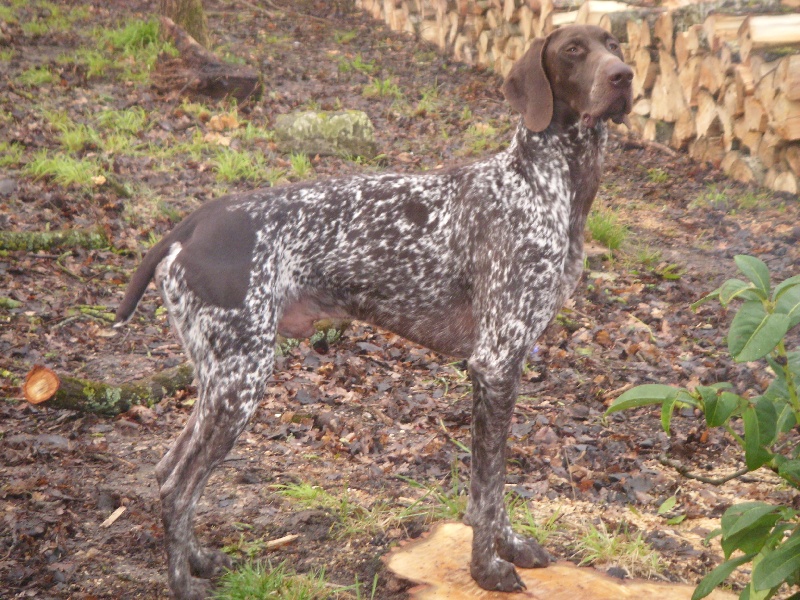 Publication : d'Elem Cathy