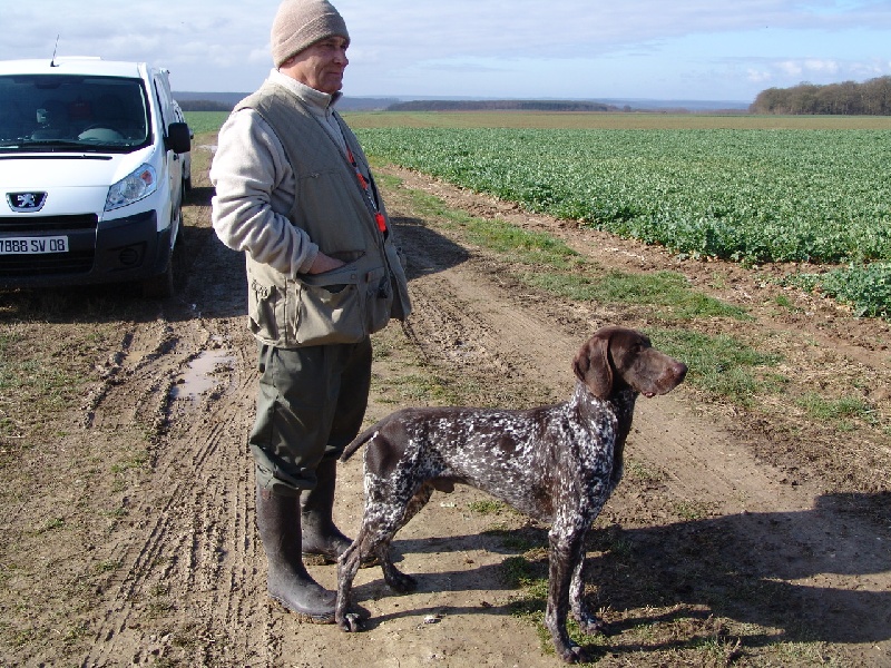 Publication : d'Elem Cathy