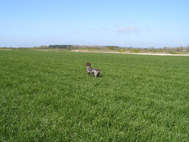 Publication : d'Elem Cathy