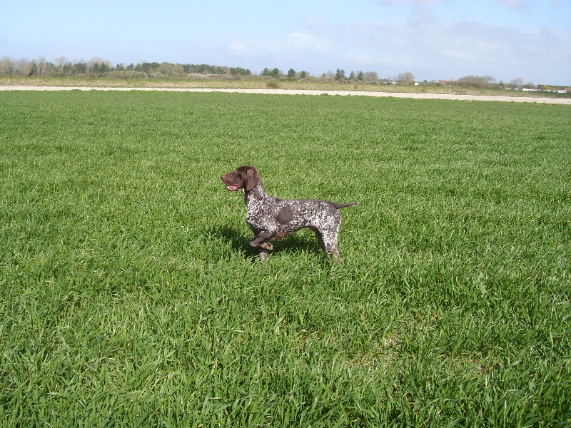 Publication : d'Elem Cathy