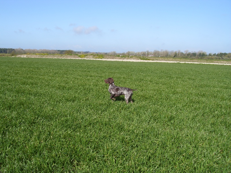 Publication : d'Elem Cathy