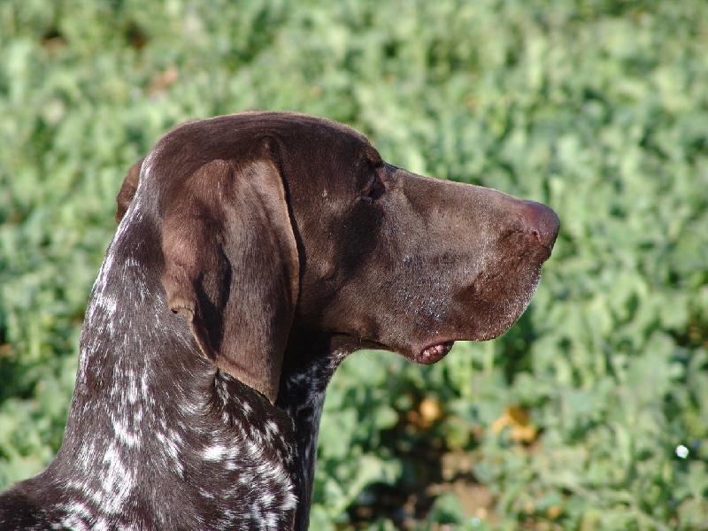 Publication : d'Elem Cathy