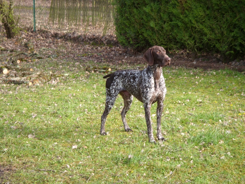 Publication : d'Elem Cathy