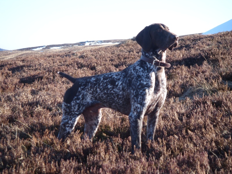 Publication : d'Elem Cathy