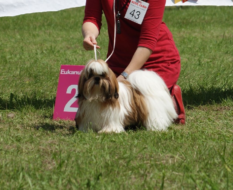 Publication : Mandarin Garden's