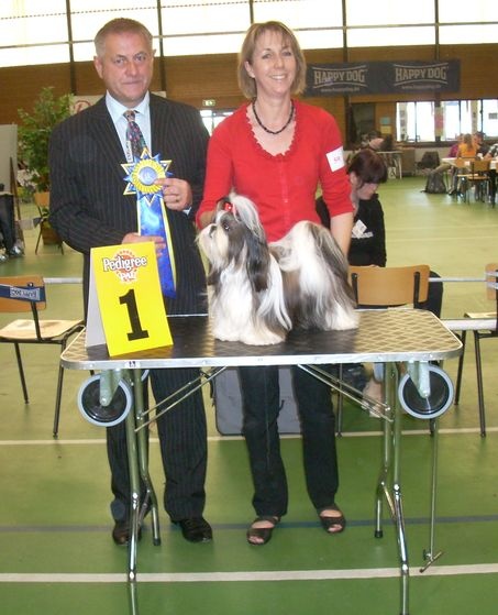 CH. Mandarin Garden's Fire blossom - excellent 1, CAC