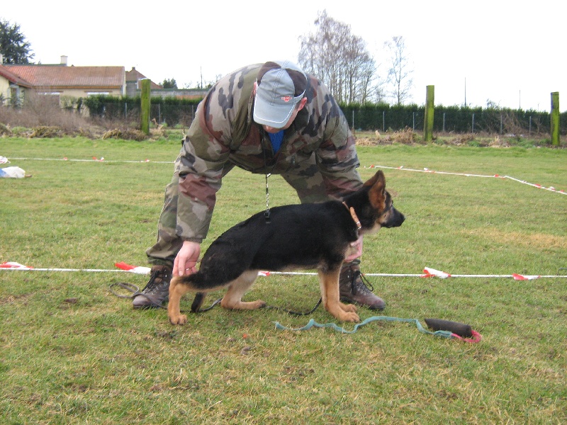 Publication : du repaire du Berger Allemand