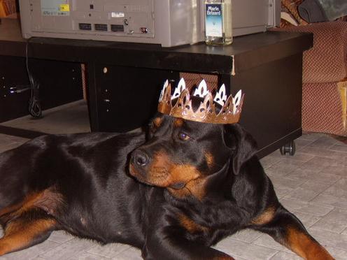 Steff du domaine de maynard