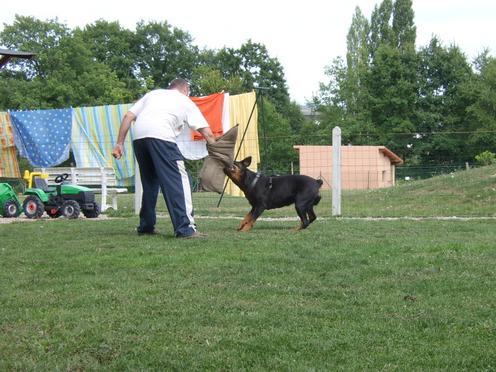 Steff du domaine de maynard