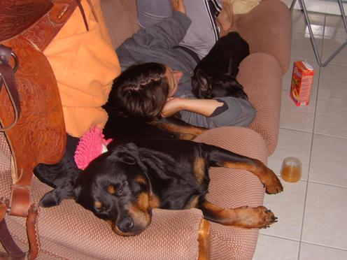 Steff du domaine de maynard