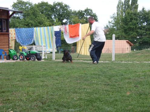 Steff du domaine de maynard