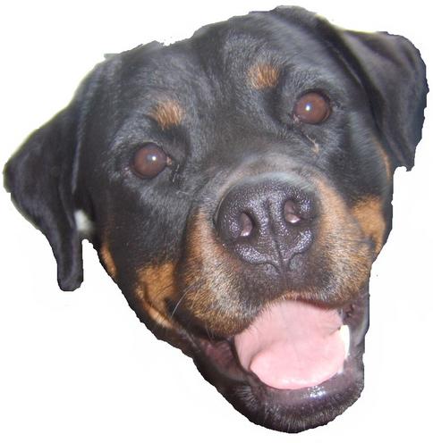 Steff du domaine de maynard