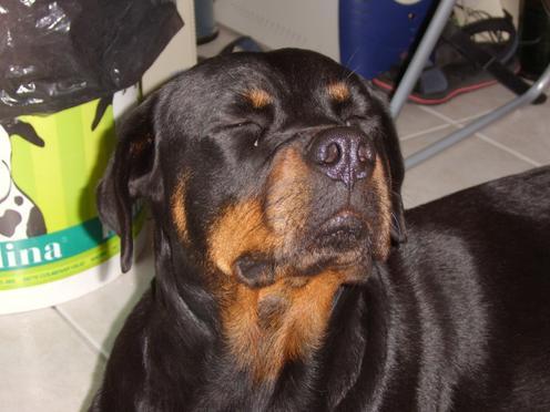 Steff du domaine de maynard