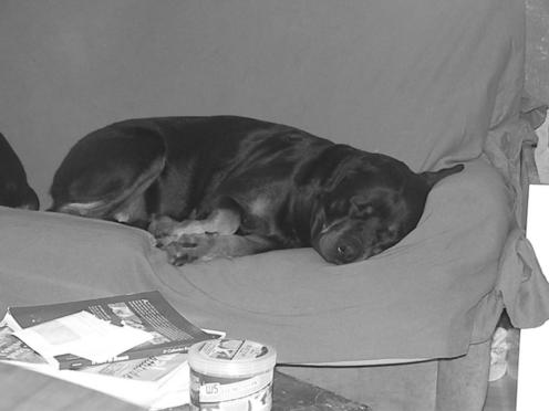 Steff du domaine de maynard