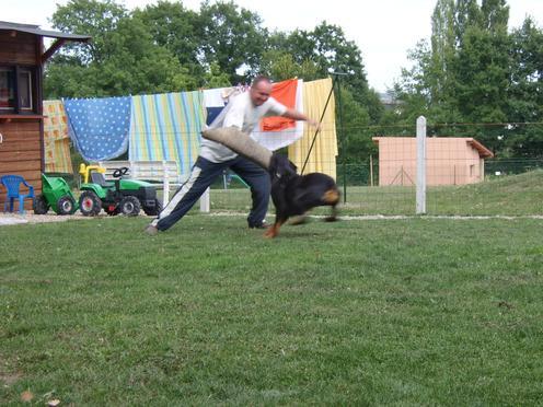 Steff du domaine de maynard