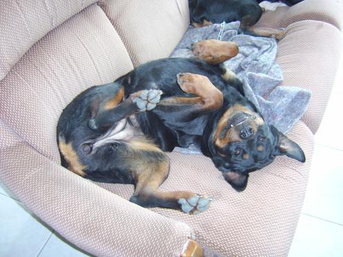 Steff du domaine de maynard