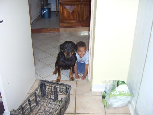 Steff du domaine de maynard