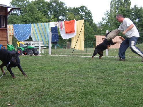 Steff du domaine de maynard