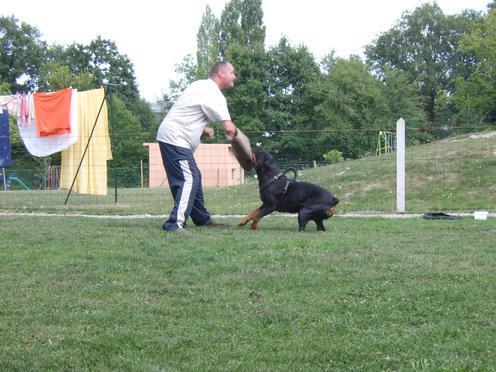 Steff du domaine de maynard