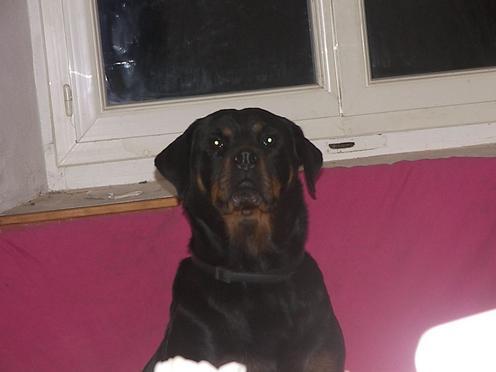 Steff du domaine de maynard