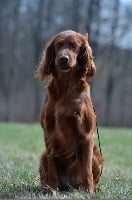 du Domaine de Criska