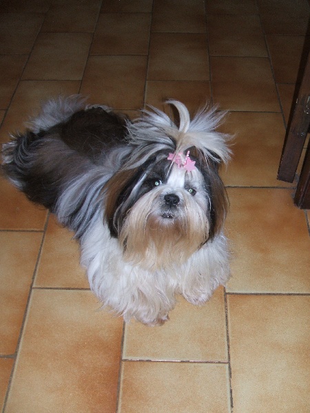 Publication : du Moulin de la Terrasse